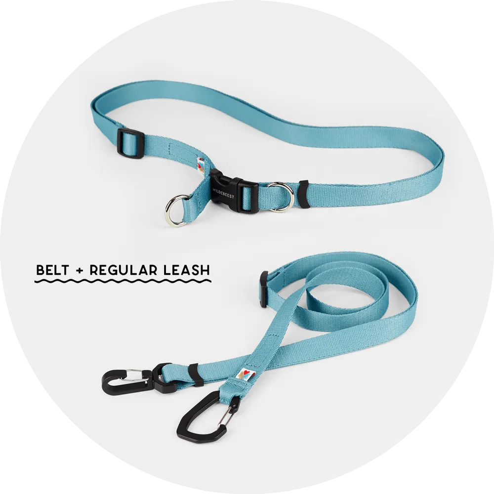 Ashbury Hands-Free Dog Leash