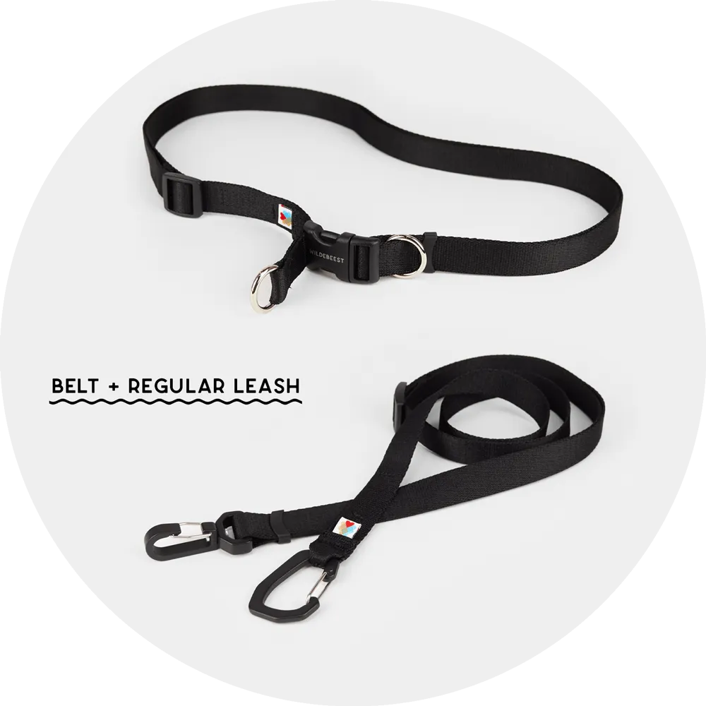 Ashbury Hands-Free Dog Leash