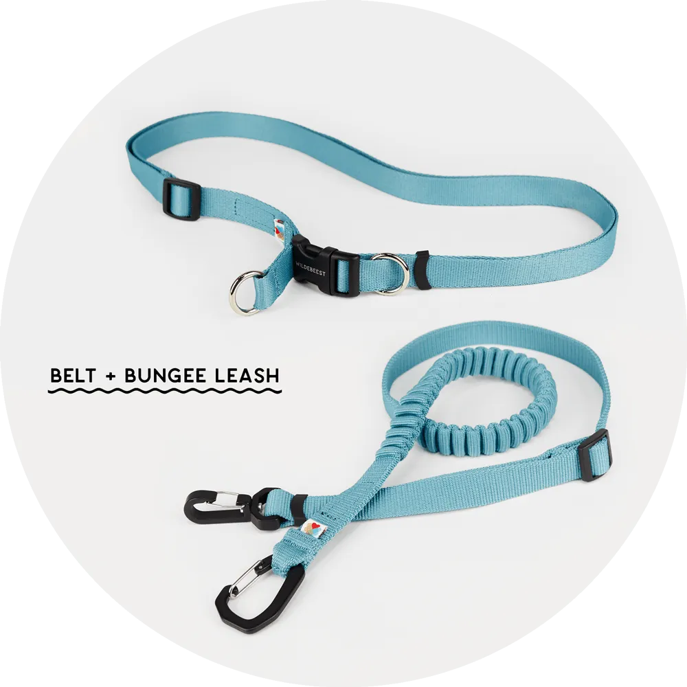 Ashbury Hands-Free Dog Leash