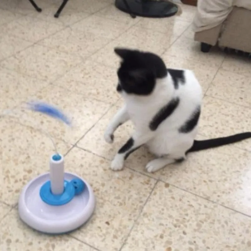 Cat Toy Interactive Turntable With Moving Ball & Rotating Feather Battery Powered