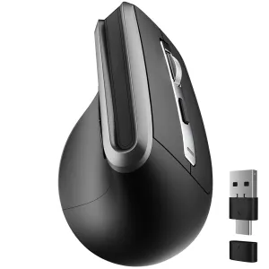 Delton S20 Ergonomic Wireless Mouse