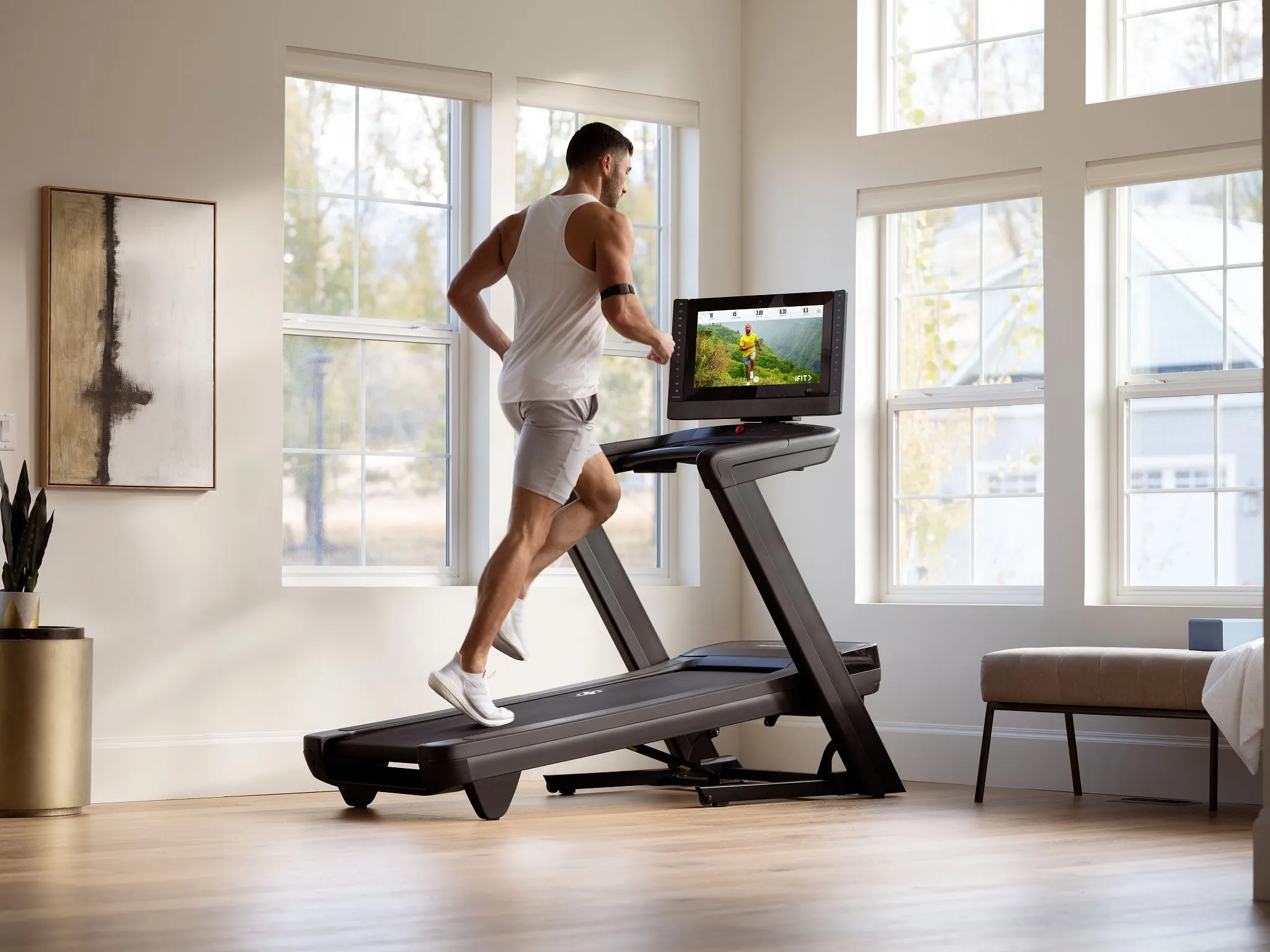 NordicTrack® Commercial 2450 Treadmill