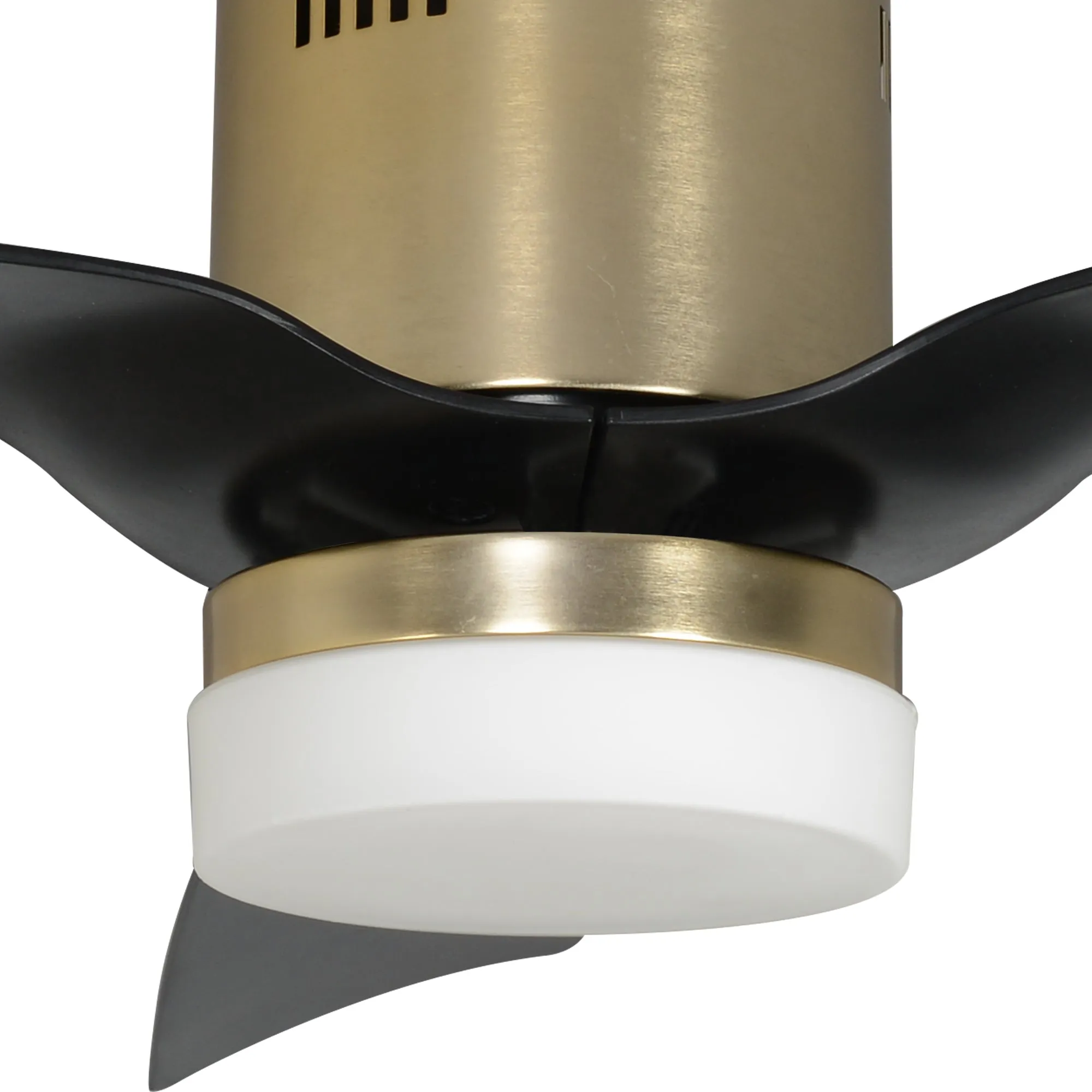 SPEZIA 48 inch 3-Blade Flush Mount Smart Ceiling Fan with LED Light Kit & Remote - Gold/Black